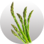 Asparago, ingrediente per prodotti–Arbi