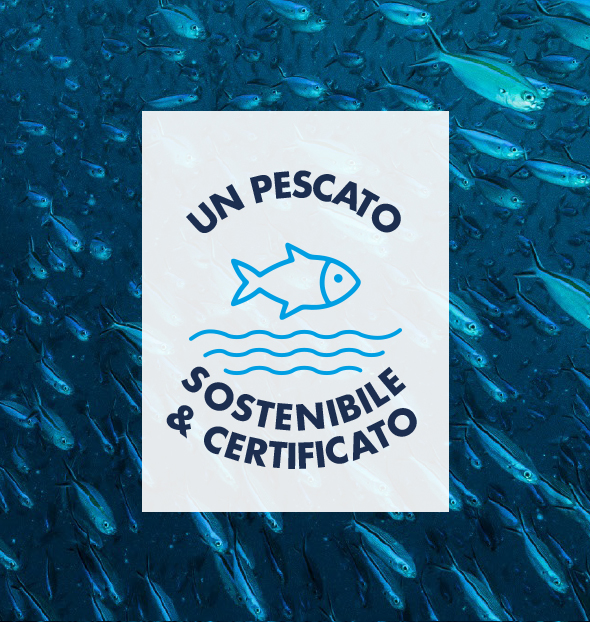 arbi pescato sostenibile e certificato